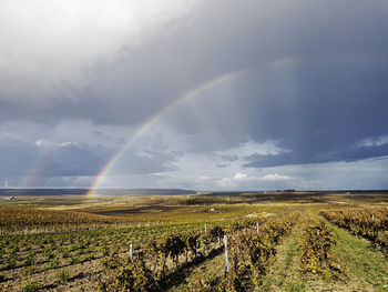 Scenic view of rainbow over field against sky