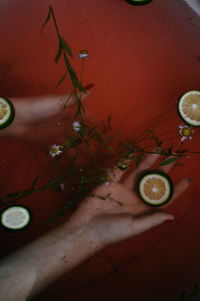 High angle view of berries on table