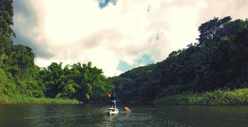 Man paddleboarding on river amidst trees against sky