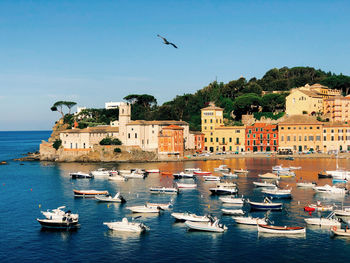 Sailboats in sea by buildings against clear blue sky