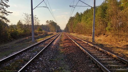 Railway tracks amidst trees against sky