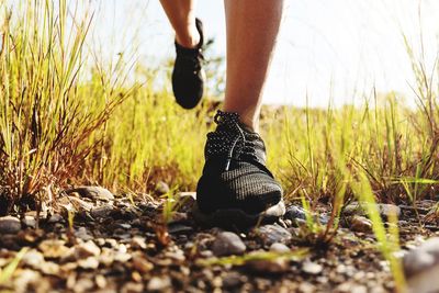 Low section of person walking on field