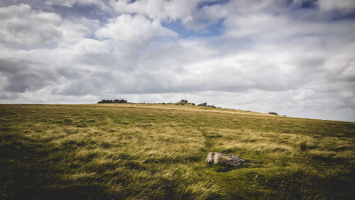 Scenic view of grassy field against cloudy sky