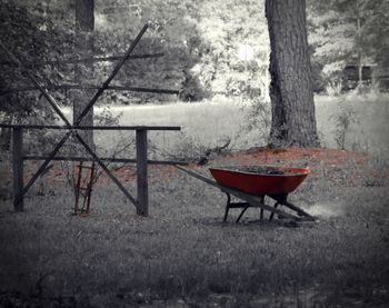 Empty bench in park