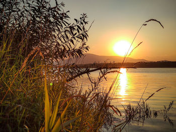 Scenic view of lake against sky during sunset