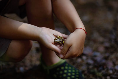 Frog in hands of little boy in forest