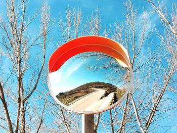 Low angle view of bare trees against blue sky