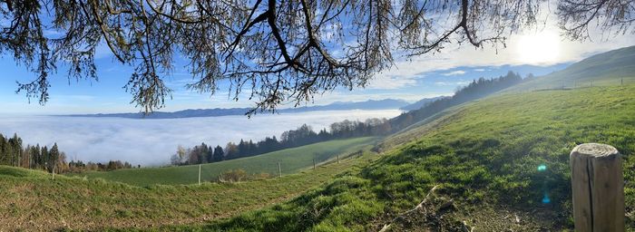 Scenic view of landscape against sky