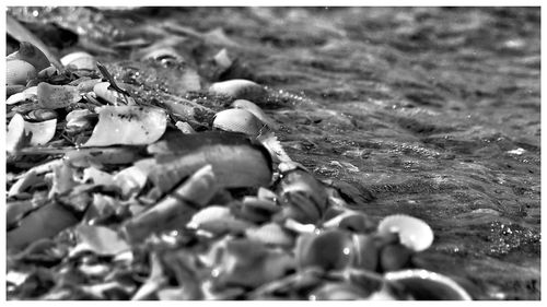 Close-up of pebbles in water