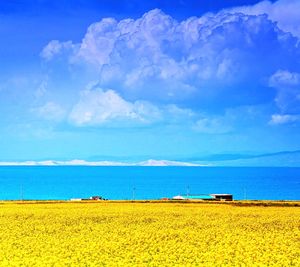 Scenic view of field against cloudy sky