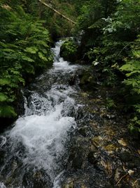 Stream flowing through rocks in forest