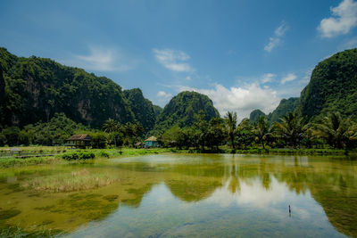 Scenic view of lake by trees against sky