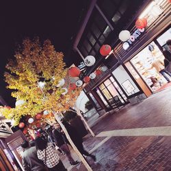 Illuminated lanterns hanging amidst trees and buildings in city at night