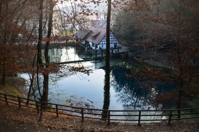 Scenic view of lake in forest during autumn