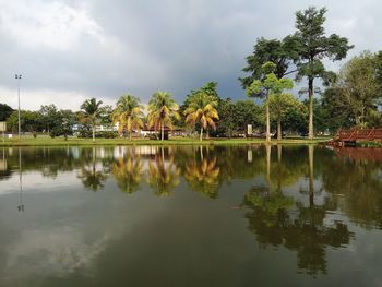 Reflection of palm trees in lake against sky