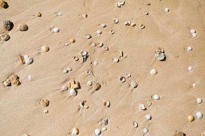 High angle view of footprints on sand at beach