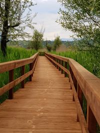 Wooden footbridge along plants and trees