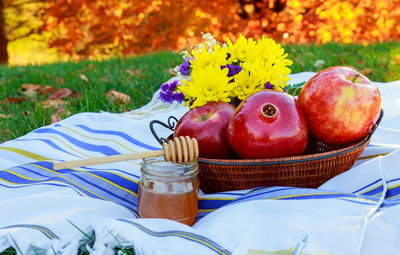 Apples by honey in basket on picnic blanket