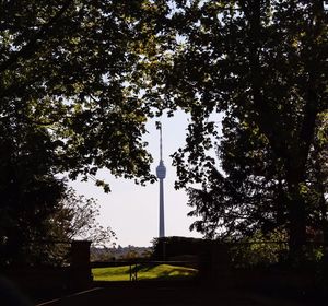 Low angle view of trees against sky