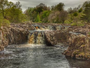 Scenic view of waterfall in forest