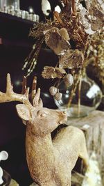 Close-up of christmas decoration