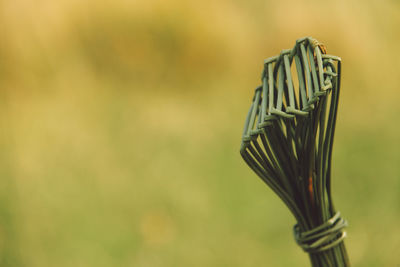 Extreme close up woven stick