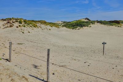 Wooden posts on sand at beach against sky