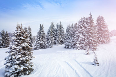 Snow covered land against sky