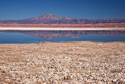 Scenic view of lake against clear blue sky