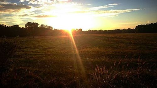 Scenic view of grassy field against sky at sunset