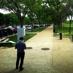 People walking on road