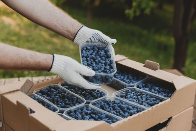 Male hands holding plastic container with large blueberries over cardboard box or crate full of