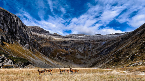 Panoramic view of landscape against sky