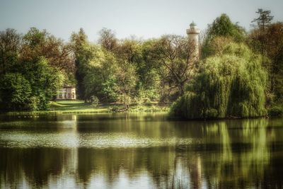 Scenic view of lake against trees