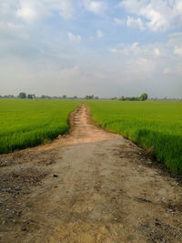 Dirt road passing through agricultural field against sky