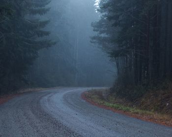 Road amidst trees in forest