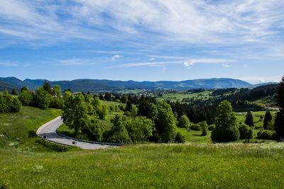 Scenic view of field against sky