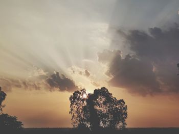 Low angle view of sunlight streaming through silhouette tree during sunset