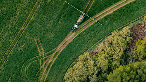 High angle view of agricultural field