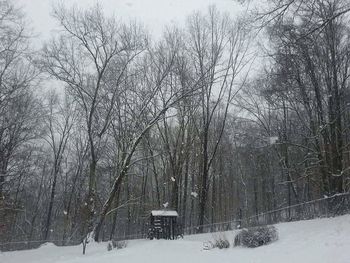 Scenic view of snow covered landscape