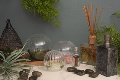 Close-up of potted plants on table against wall