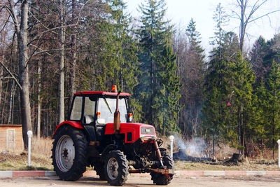 View of man cycling in forest