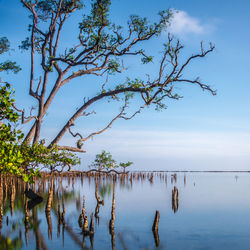 Scenic view of lake against sky