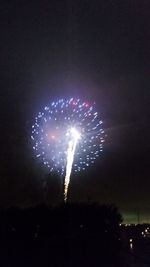 Low angle view of firework display at night