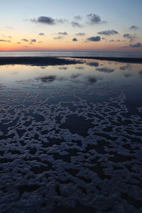 Sea foam pattern in a beach puddle, schiermonnikoog, the netherlands