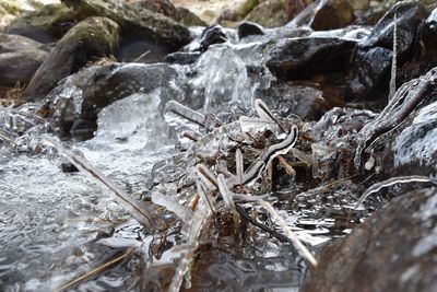 Close-up of frozen water