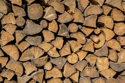 Full frame shot of logs in forest