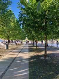 People walking on street in city