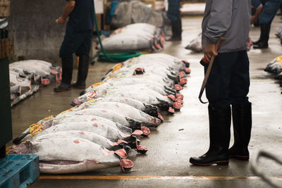 Fish for sale at market stall