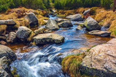 River flowing through rocks in forest